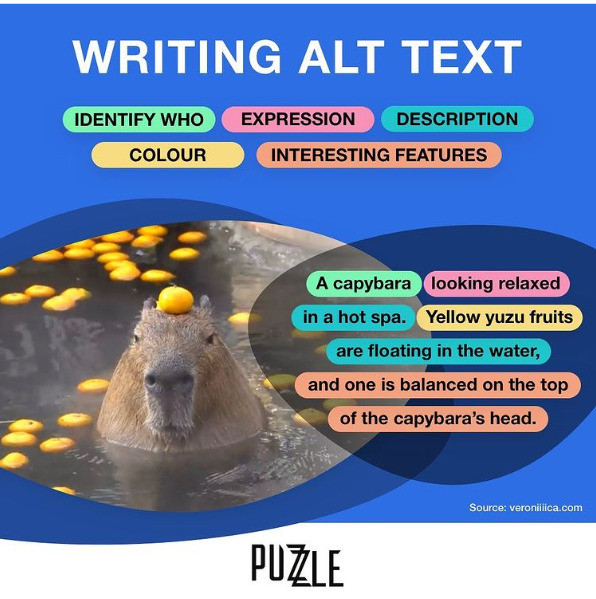 a picture on describing writing alt text. the steps go like so:

identify who/what.
expression.
description.
colour.
interesting features.

the example text is "a capybara looking relaxed in a hot spa. Yellow yuzu fruits are floating in the water, and one is balanced on top of the capybara's head."

it is accompanied by a picture of a capabara in a hot spa with a yuzu fruit on it's head.

the image was published by puzzle london as part of their "Access Alt" campaign