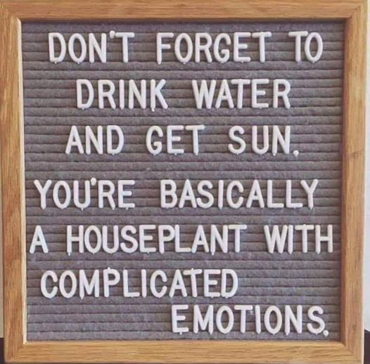DONT FORGET TO
DRINK WATER
AND GET SUN.
YOURE BASICALLY
A HOUSEPLANT WITH
COMPLICATED
EMOTIONS.