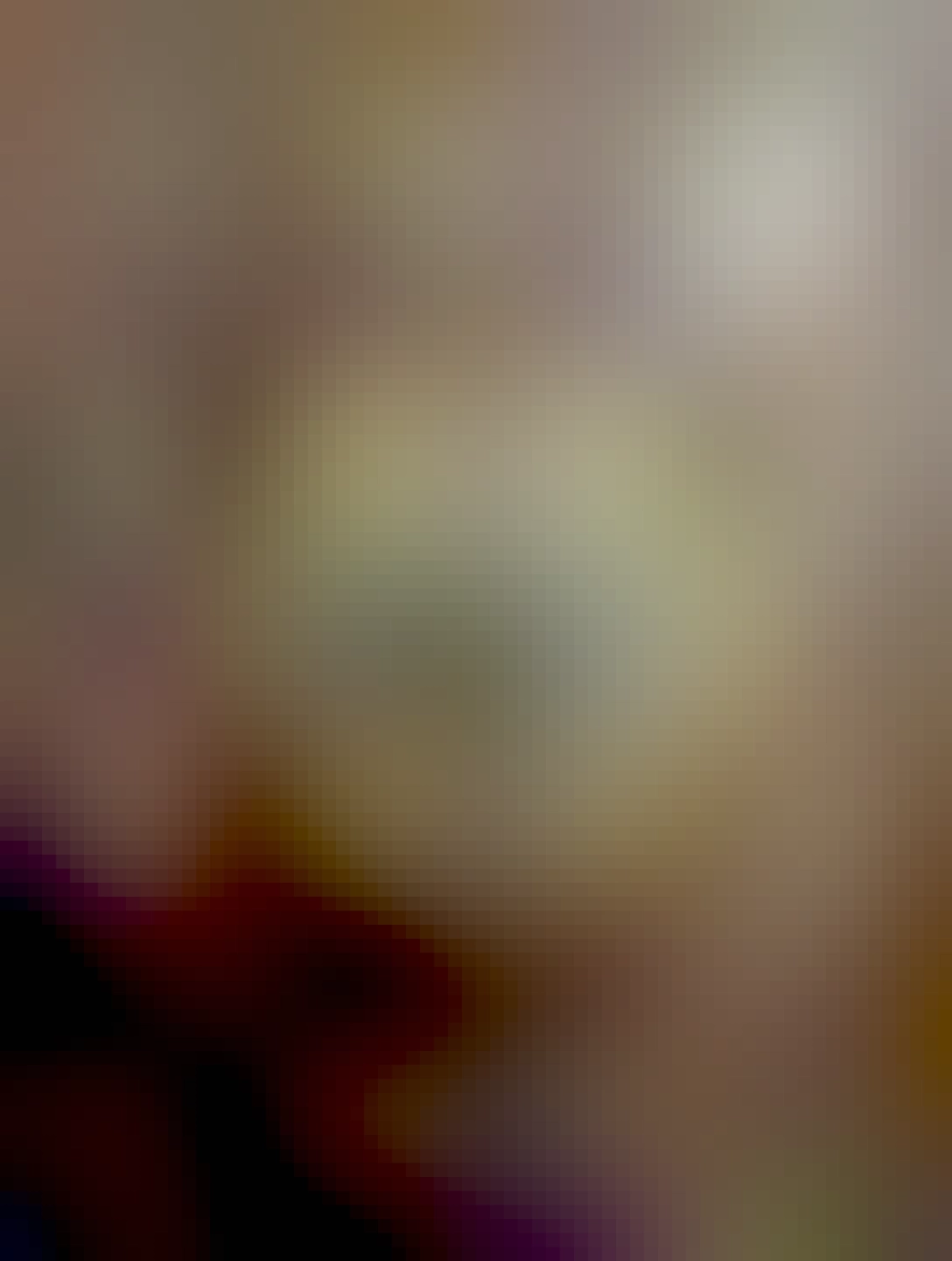 turecká minca nominálnej hodnoty 1.. panna?