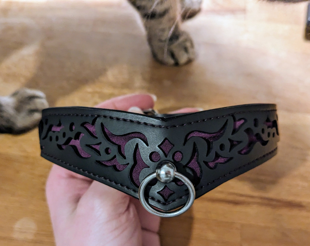 Weiteres Foto meines neuen Penumbra-Halsbandes, in schwarz (veganes Leder), inkl. Muster und Naht in dunkellila, sowie einem silbernen Ring. Im Gegensatz zur vorherigen Aufnahme diesmal frontal, und nicht leicht seitlich.

Im Hintergrund ist noch meine Hand zu sehen, die das Halsband hält, sowie Kittys Pfötchen.