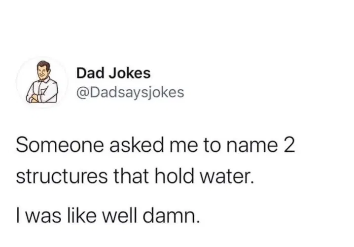 screenshot of Twitter user Dad Jokes @Dadsaysjokes saying "Someone asked me to name 2 structures that hold water. I was like well damn."