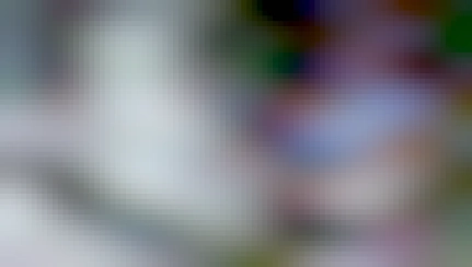 Domino Effect meme starting with "Volpeon learns drawing" and ending with "Skibidi neocat".