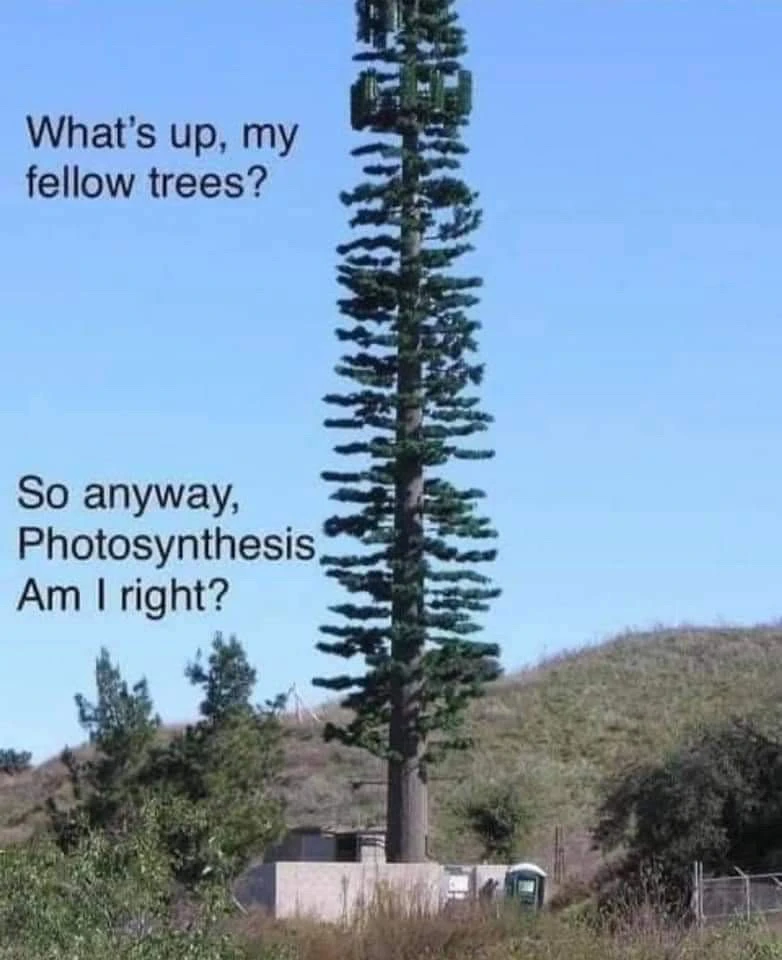 picture of a cell tower painted brown with fake branches to appear like a really tall tree. it looks super out of place to its surrounding background because it's taller than all the other trees and is in a plain like environment. captioned "What's up, my fellow trees?" "So anyway, photosynthesis am I right?"