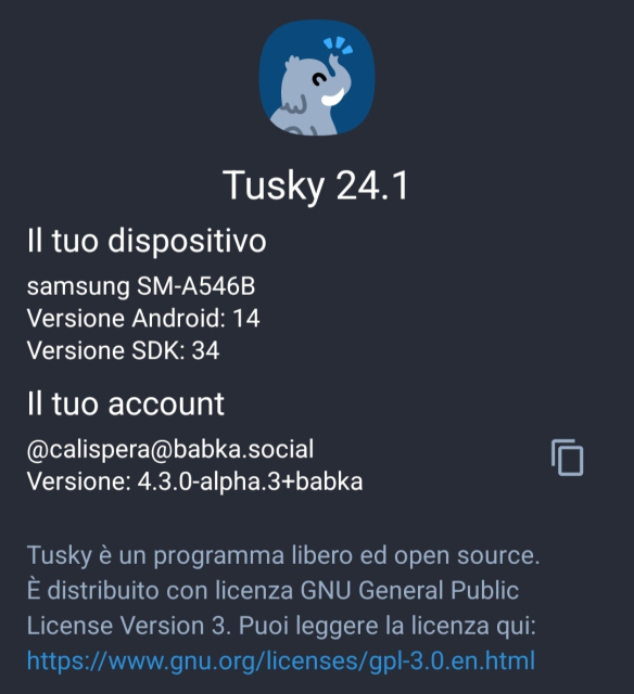A screenshot of the informations about Tusky