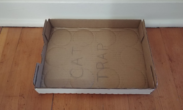 An empty soup can box, with the words "CAT TRAP" penciled on the inside.