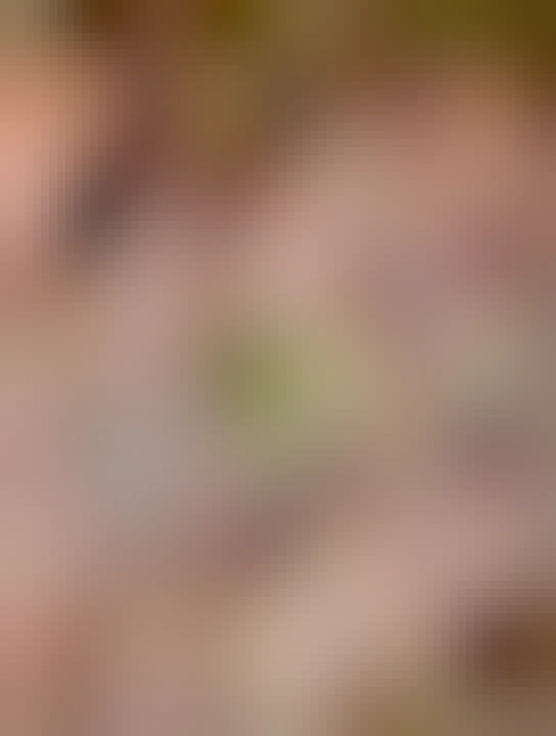 20 českých korún, na dlani