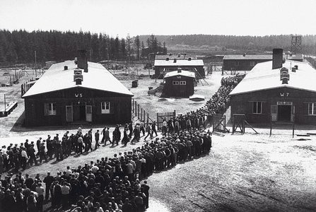 Collaborators photographed in The Frøslev Camp after the war.