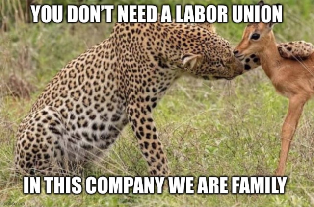 A leopard hugging an antelope and telling it "You don't need a labor union, in this company we are family"