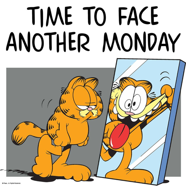 Garfield walking by mirror (mirror Garfield is making funny faces, real Garfield looks tired) - with text "time to face another monday"