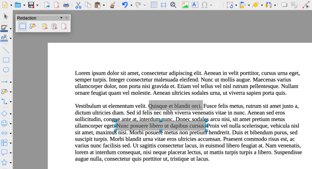 Screenshot of text paragraph, with text being redacted