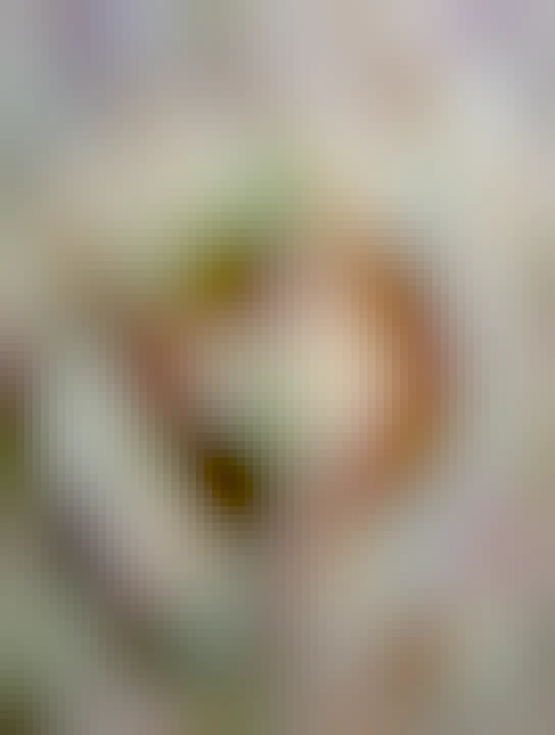 pečené zemiaky, cottage a jarná cibuľka