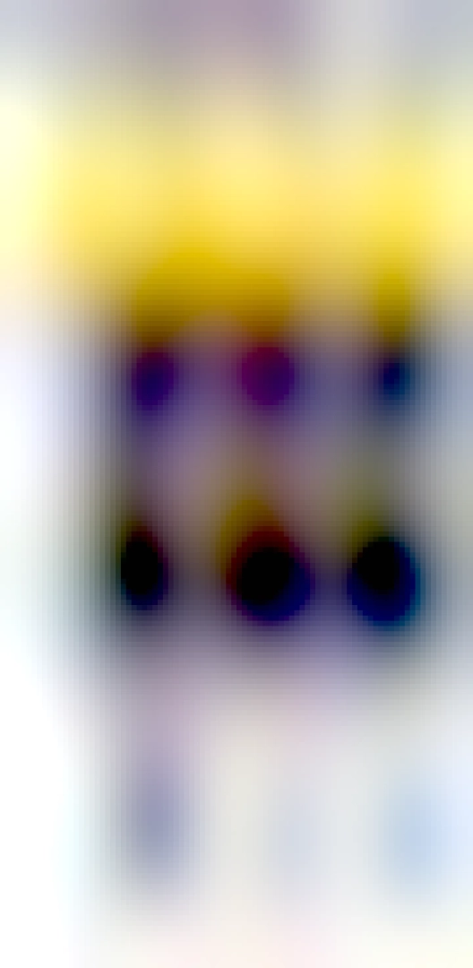 Photo by Aaron Rupar on May 08, 2024. May be a Twitter screenshot of 5 people, phone, screen and text that says 'Fletch17 35 35.8K posts Posts Follow Replies Media Likes Fletch17 reposted KAG 00 もR... 4h Our guy @17ThankQ just got shared by the @GOPoversight WE ARE THE NEWS NOW 茶 SININP Oversight Committee Watch Joe Biden discussing 'the weather." Resurfaced clip from 2005 shows Joe and Hunter Biden iscussing busi ness IN FRONT OF THE CAMERA. APRE22, 2005 2005 CRESKELLY 0:54 Fletch17 @17ThankQ 9h Great find by Rosanna! Biden AND Hunter on camera doing busine 1:04 DENT.CEMY.CENY 2005 while Joe was +'.