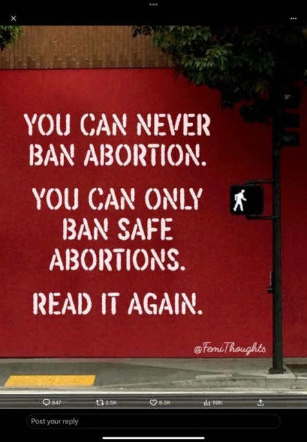 You can never ban abortion.

You can only ban safe abortions.

Read it again.