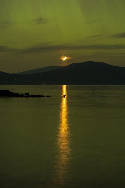a bay at night. the whole scene is lit by a faint green glow from the aurora. in the horizon, the crescent moon sets behind the mountains. the moonlight reflects off the surface of the water, and in the middle of it, the silhouette of a heron is visible