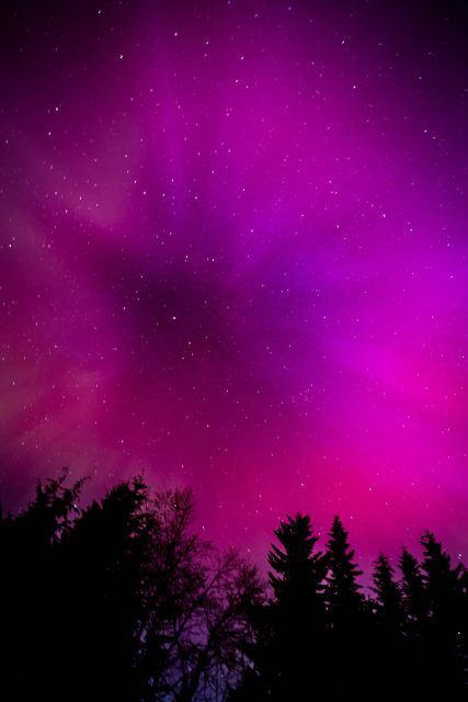 Northern lights: Reds and violets and pinks exploding over the trees with a background of stars.