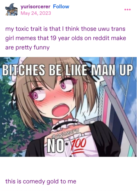 tumblr post by yrisorcerer that reads:
"my toxic trait is that i think those uwu trans memes that 19 year olds on reddit make are pretty funny"

below is an image of a flustered anime character in a maid outfit which reads:
"bitches be like man up, no 💯"

the post continues:
"this is comedy gold to me"