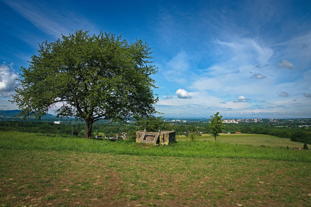 Pohled na vyhlídkové místo ve Skalici - košatý strom a vedle betonová struktura bývalé pozorovatelny Civilní obrany. V pozadí panorama Místku.