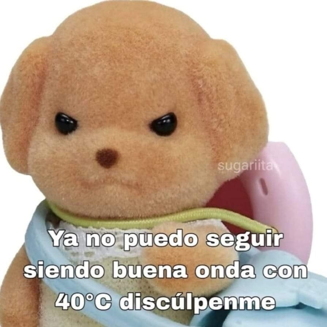Ternurin dog with an angry expression. The text in Spanish reads, "Ya no puedo seguir siendo buena onda con 40°C, discúlpenme," which translates to "I can't keep being nice with 40°C, sorry."