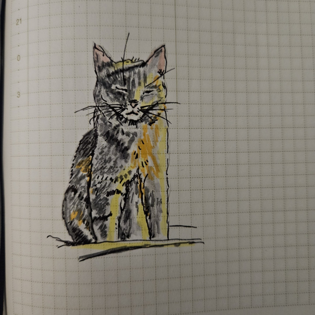 An ink and marker drawing of a grey tabby cat sitting up with the sun on her left side. Her eyes are closed. On grid paper.