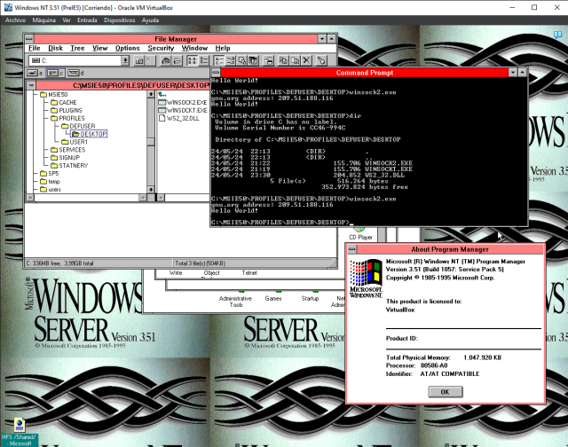 Screenshot of a Windows NT 3.51 VM running a Winsock 2 command-line test application.

The backlog of the command prompt shows the directory of the application, which has a ws2_32.dll wrapper