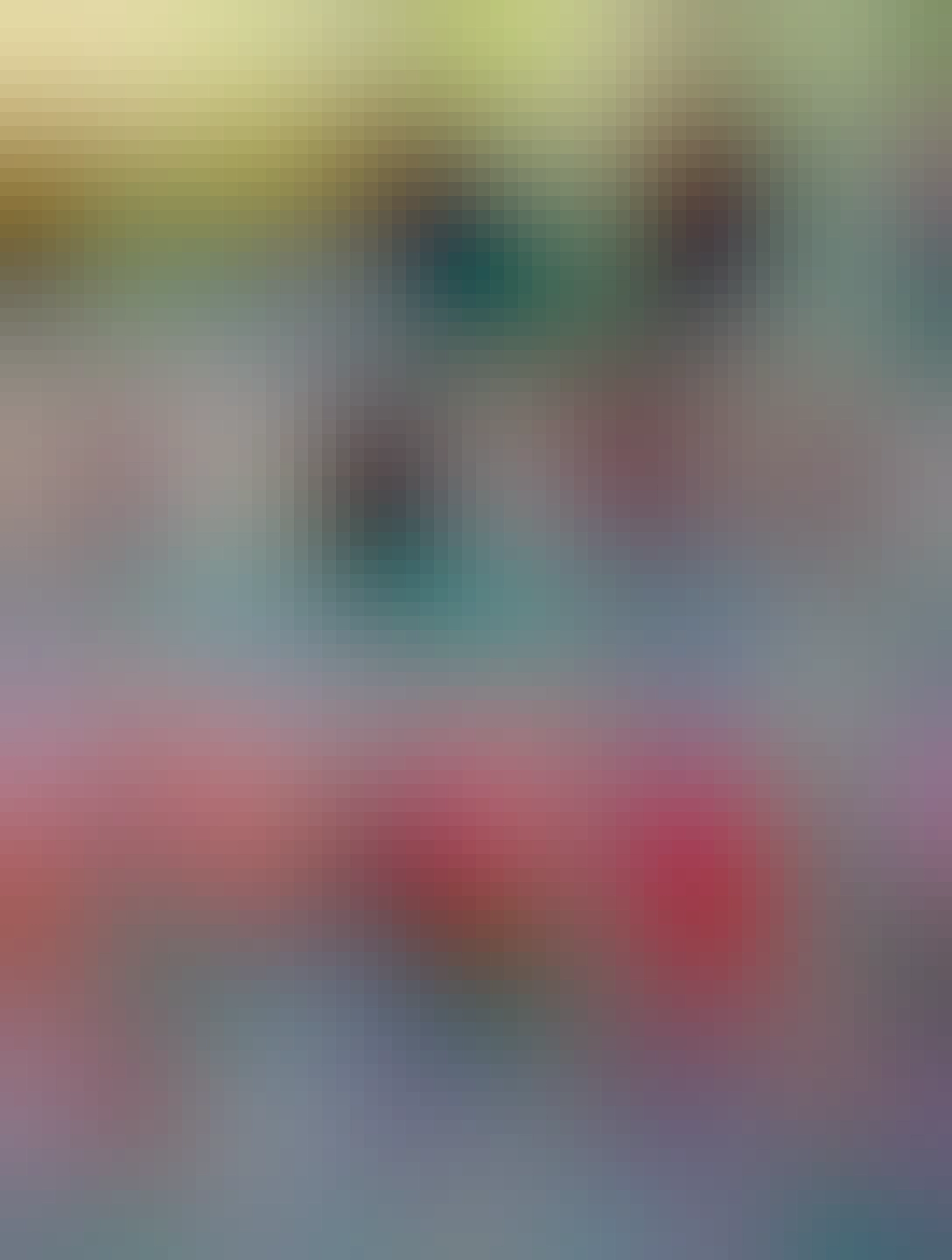 My Birdy in front of the app rack. Shows how I think it won’t fit 