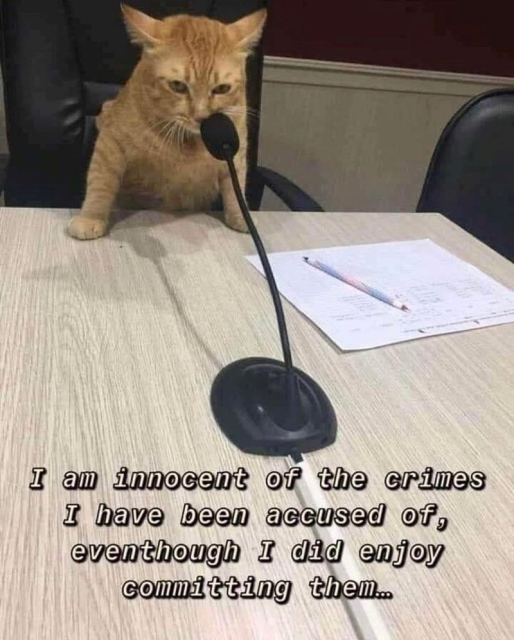 Cat in front of a microphone captioned "I am innocent of the crimes I have been accused of, even though I did enjoy committing them"
