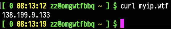 Screenshot of terminal running curl myip.wtf, which returns an IP address