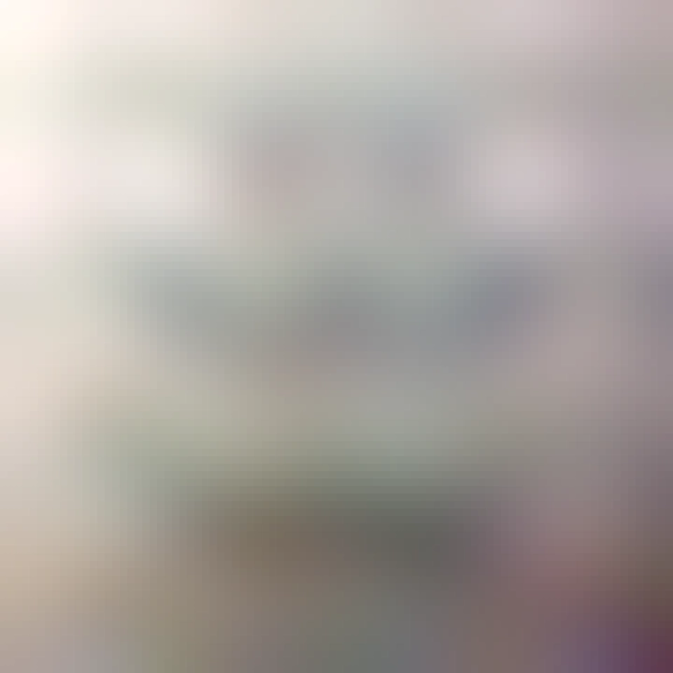 Feeling of dislike for a racial or ethnic group * Belief in this dislike = PREJUDICE +

* Actions that harm those you have prejudice 24ainst = DISCRIMINATION +

Institutionalization of this discrimination, which is perpetuated in society (When discrimination becomes a part of how the society does things) = RACISM