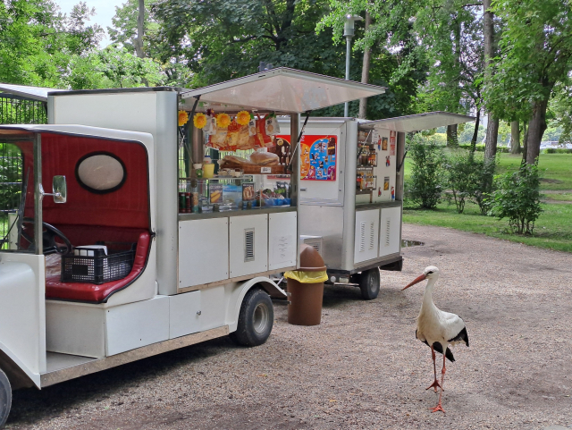 Photo of an ice cream truck parked along a path in a park, with a colorful display of snacks and ice cream. A stork is standing in front of the truck, observing it from a few feet away.