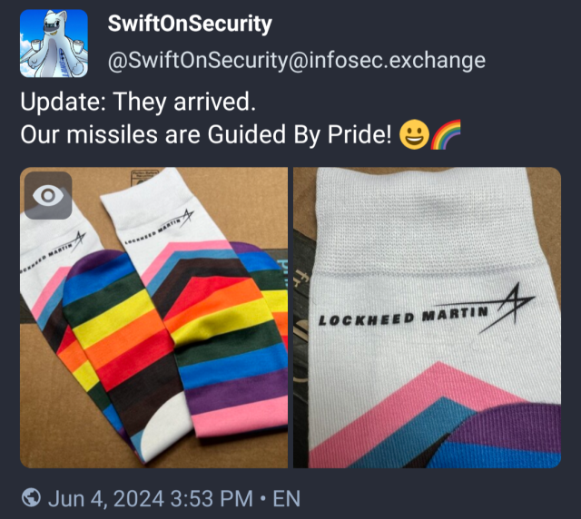 @swiftonsecurity@infosec.exchange
Update: they arrived
Our missiles are guided by Pride! :)
(Lockheed martin pride socks)