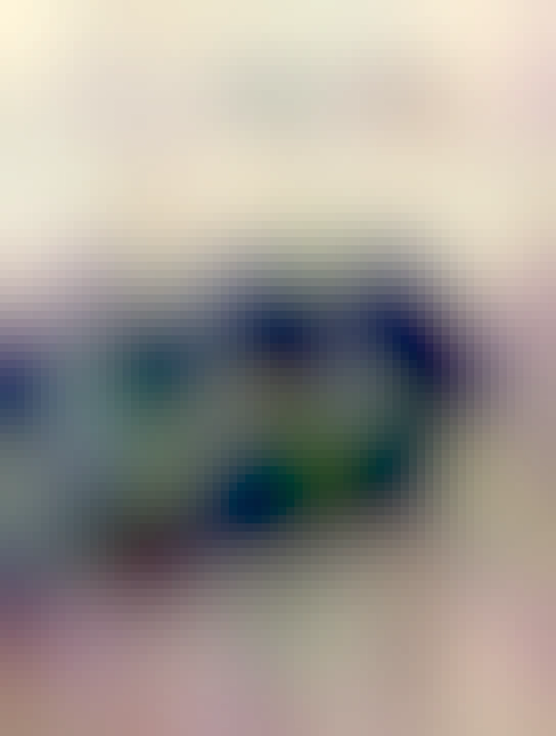 na obrázku je rozbité uchycení Radaru Garmin