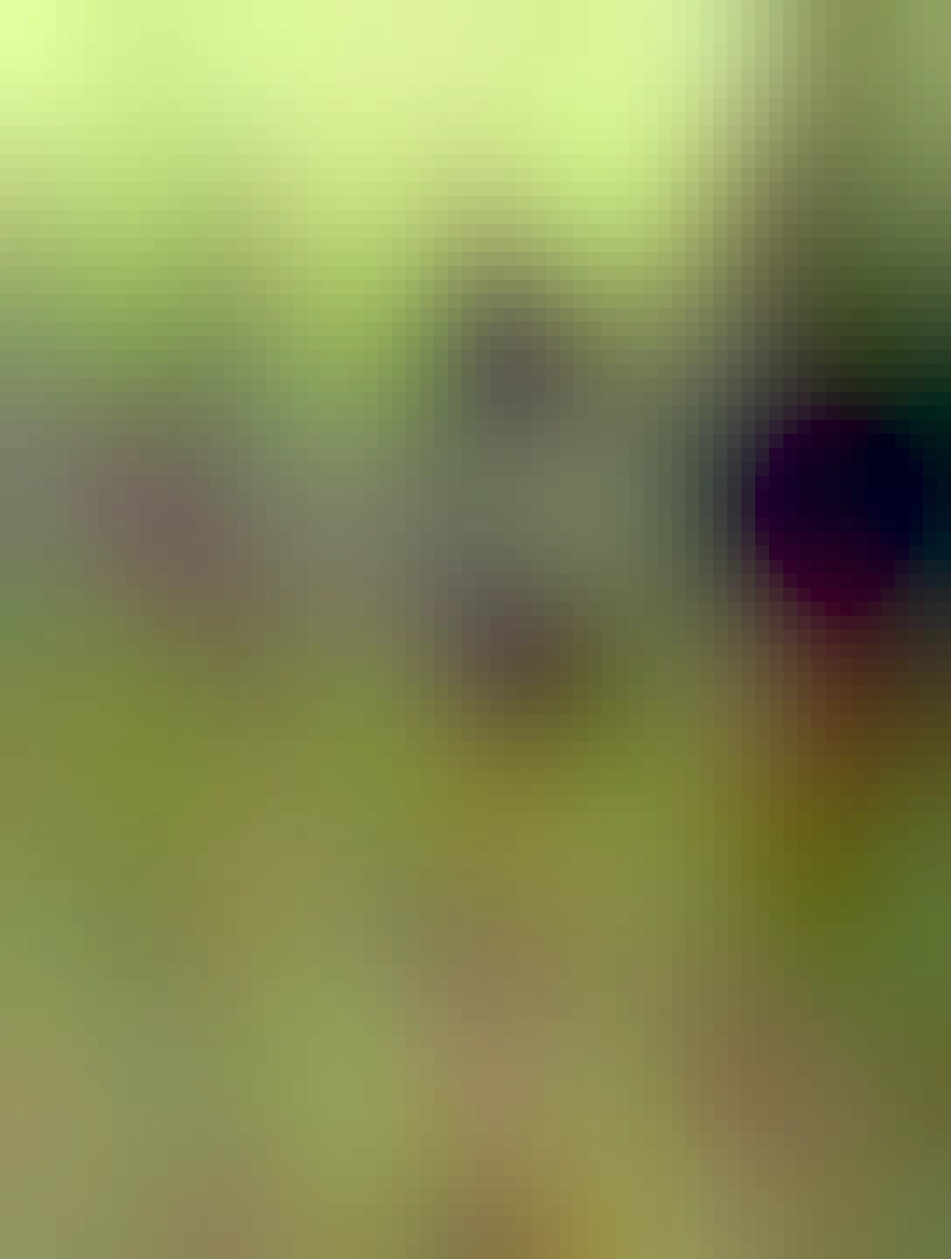 zmoknutá vrana na tráve pod stromom, úplne mokrá a hovorí si v bubline: piči