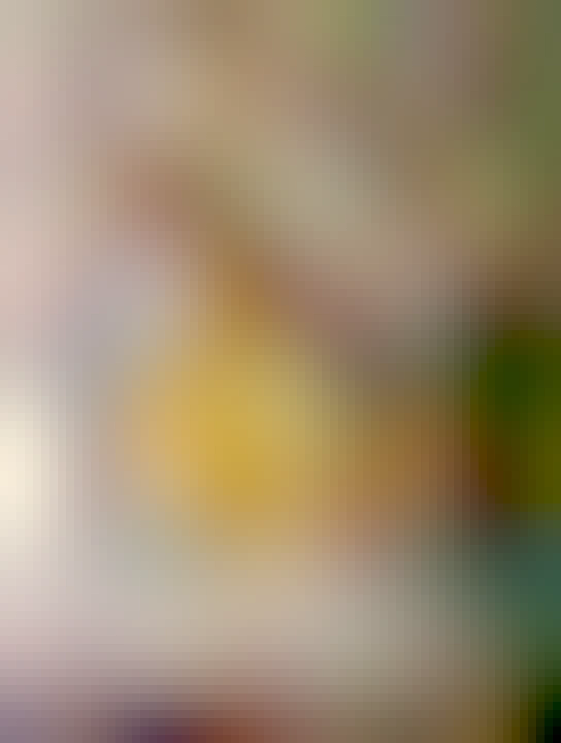 praženica, rožok, trojúhelník pizze na bielom plochom tanieri, na stale, taký béžový nie moc pekný 