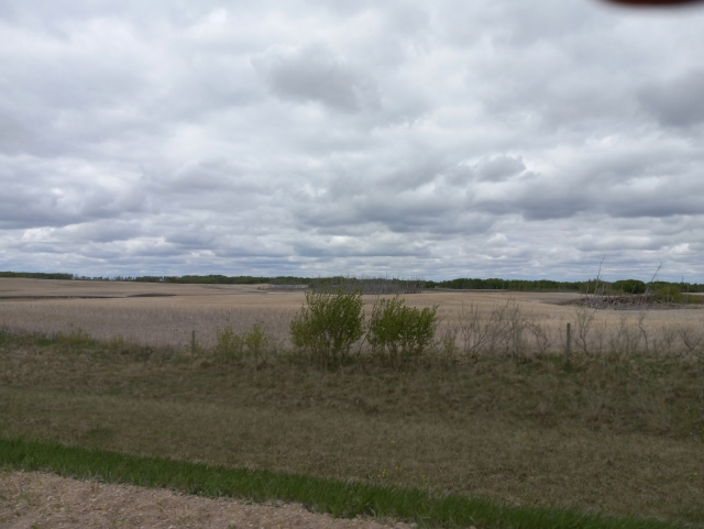 A view across a just-seeded field, with clouds above and slightly rolling hills with small patches of woods.  It's very very flat.