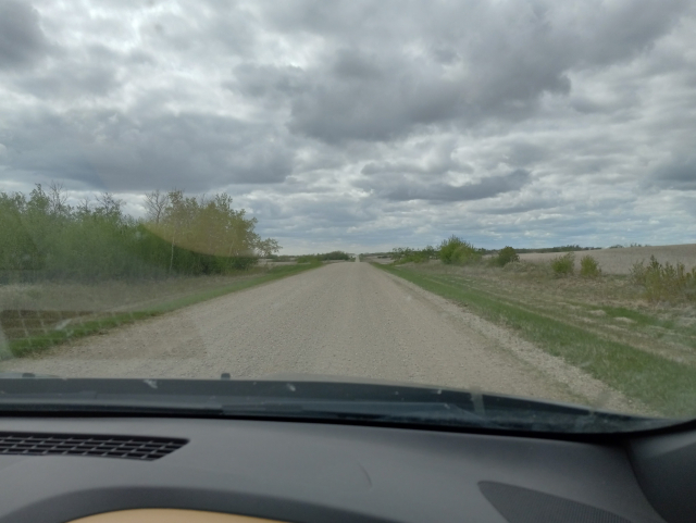 A view looking down a very flat, straight dirt road, with small patches of woods and just-sowed grain fields on both sides.  The sky is cloudy.