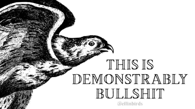 A drawing of a buzzard next to the words "this is demonstrably bullshit"
