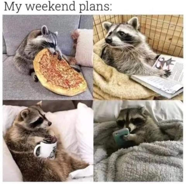 My weekend plans:
A raccoon eating a pizza
A raccoon reading a book
A raccoon drinking a beverage in a mug
A raccoon sitting in bed in their phone 