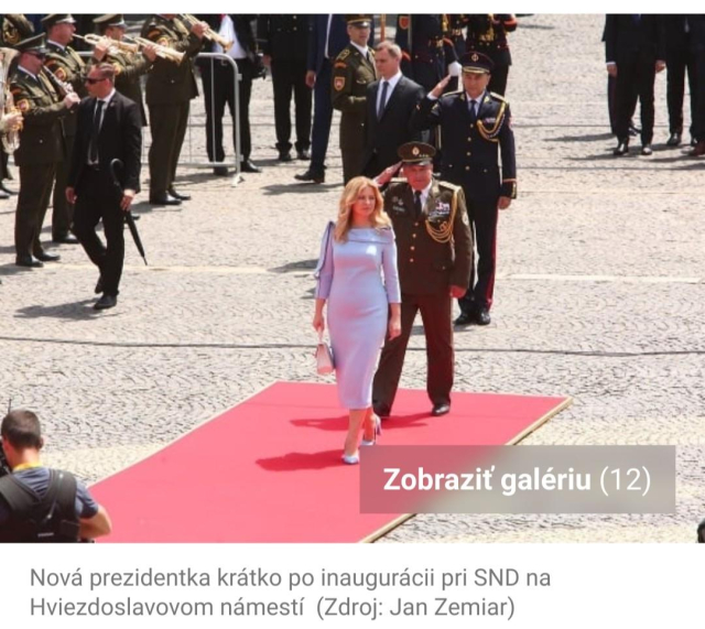 Foto z inauguracie p. prezidentky Caputovej.

P. Caputova na cervenom koberci, za nou salutujuci vojak v slavnostnej uniforme. V pozadi ochranka, vojenska dychovka, zbytok ludi je mimo zaber.