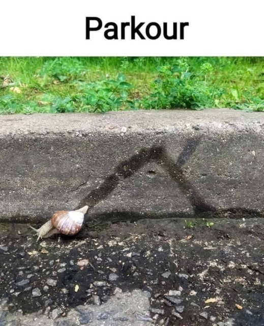 A snail banking up and back down again from a curb with the caption "Parkour" written above.