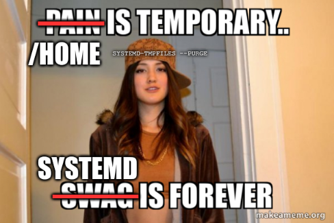 Scumbag girlfriend meme captioned "pain is temporary.." "swag is forever" then redacted for "/home is temporary.." "systemd is forever"