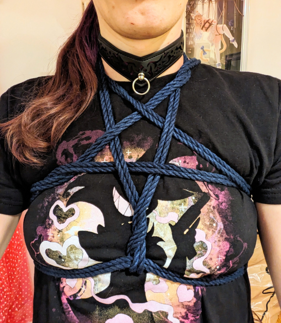 Foto meines Oberkörpers, mit einem Pentagramm-Brust-Harness. Die Brüste werden dadurch sehr gut betont, abgesehen davon trage ich noch ein Halsband, sowie darunter ein thematisch passendes T-Shirt (sofern man weiß wer darauf abgebildet ist).