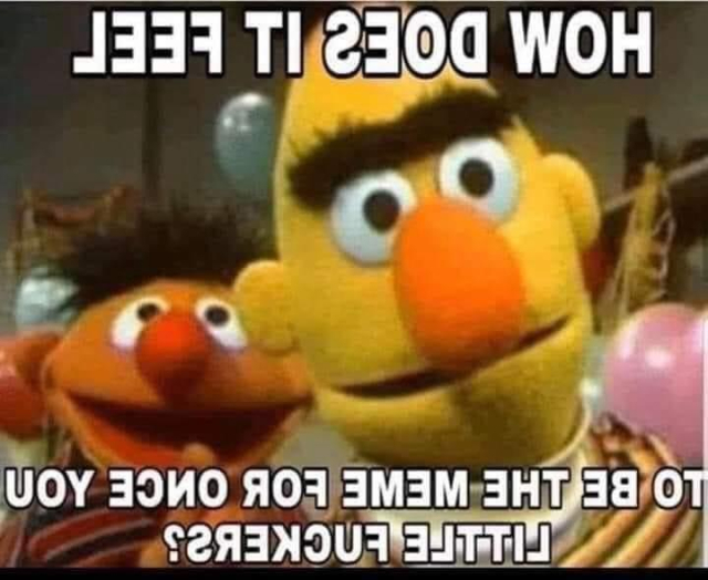 Ernie and Bert of Sesame Street are looking through the screen at you. 

Reversed lettering reads: HOW DOES IT FEEL

TO BE THE MEME FOR ONCE YOU LITTLE FUCKERS?