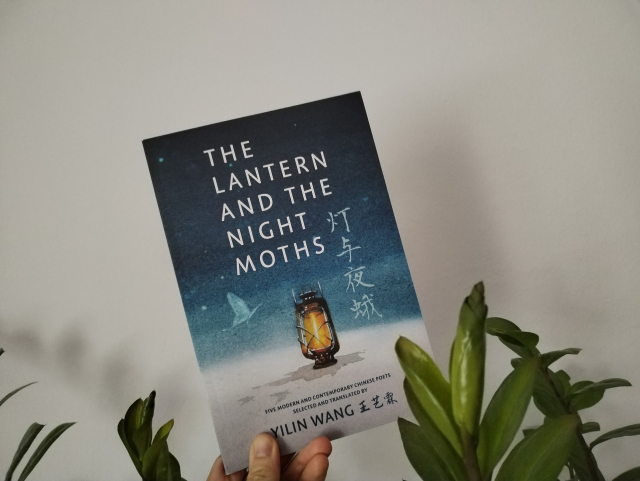 Photo of my left hand holding the book in front of a white wall.

Some green zamioculcas branches around it.

The cover is an ombre blue, darker at the top and almost white at the bottom.
It shows the starry sky (or could be the ocean) above white sand.
At the centre, a lit lantern.