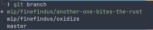 Screenshot of the terminal, showing the result of running  "git branch". The command lists three different branches, "master", "wip/finefindus/oxidize" and "wip/finefindus/another-one-bites-the-rust".