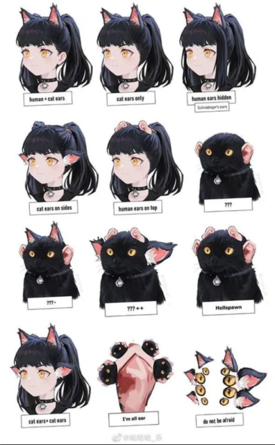 Same Illustration but with six additional options..
???+ (cat with top cat ears, side human ears)
???++ (cat with top human ears, side cat ears)
Hellspawn (cat with 4 human ears)
cat ears + cat ears (catgirl with top & side cat ears)
I'm all ears (human ear with 4 Hellspawns attached)
do not be afraid (biblically accurate cat with 8 cat eyes + 6 cat ears - face)