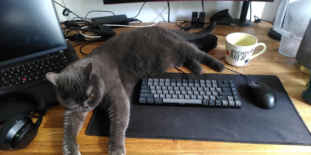 My desk

My cat Louis is lying on his side with his 4 pays stretched 

My keyboard is touching his belly