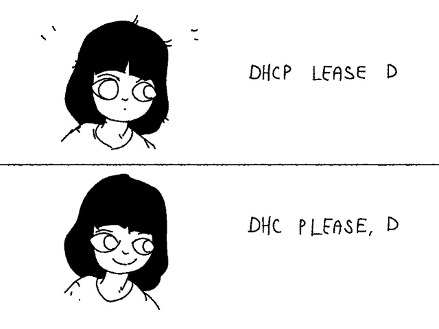 meme template:
girl is not happy: DHCP LEASE D
girl is happy: DHC PLEASE, D