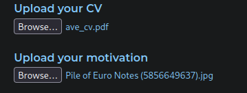 Upload your CV: ave_cv.pdf
Upload your motivation: Pile of Euro Notes (5856649637).jpg