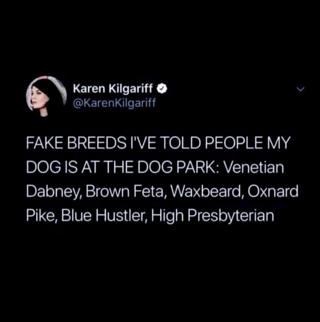 Karen Kilgariff @KarenKilgariff FAKE BREEDS I'VE TOLD PEOPLE MY DOG IS AT THE DOG PARK: Venetian Dabney, Brown Feta, Waxbeard, Oxnard Pike, Blue Hustler, High Presbyterian