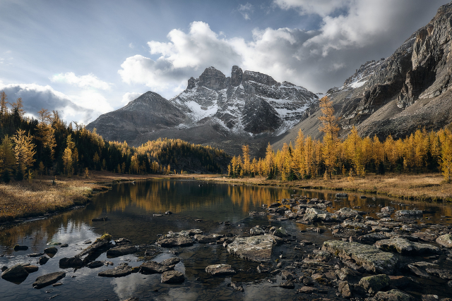 A large mount sits surrounded by yellow larches in fall. Sun beams can be seen piercing through the overhead clouds. A calm river leads into the scene.